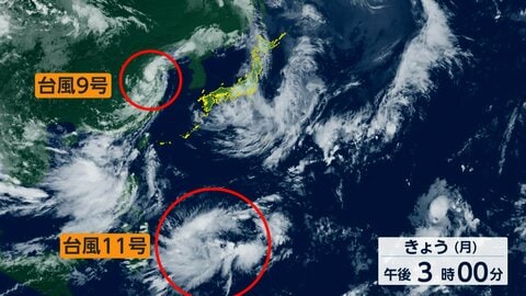 台風11号発生し“ダブル台風”　列島に猛暑もたらす見込み　台風9号の影響による暑さで野菜に異変も