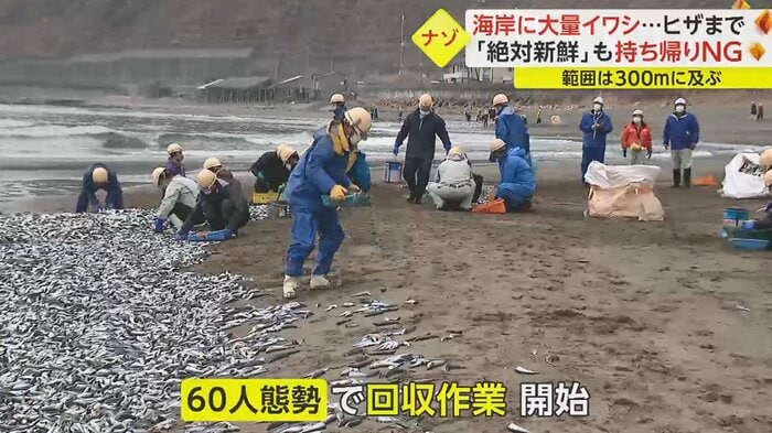 (2月8日)