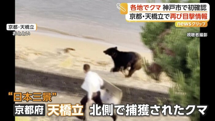 走って逃げるクマと追いかける警察官