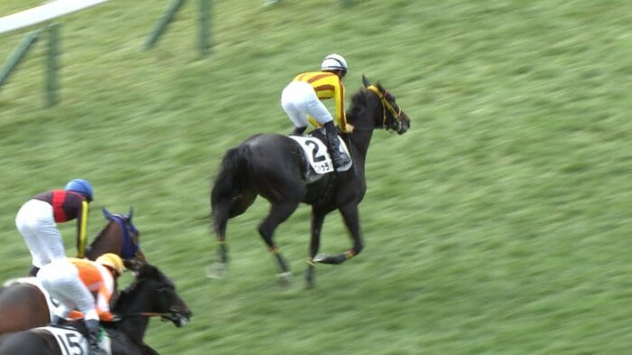 未勝利戦を制したピエドゥラパン