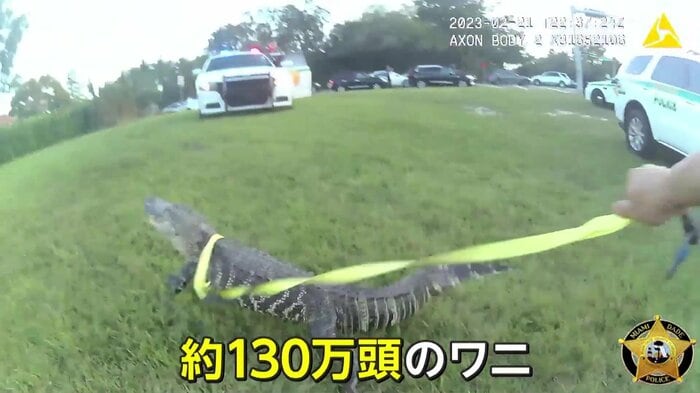 (画像:MIAMI DADE POLICE)