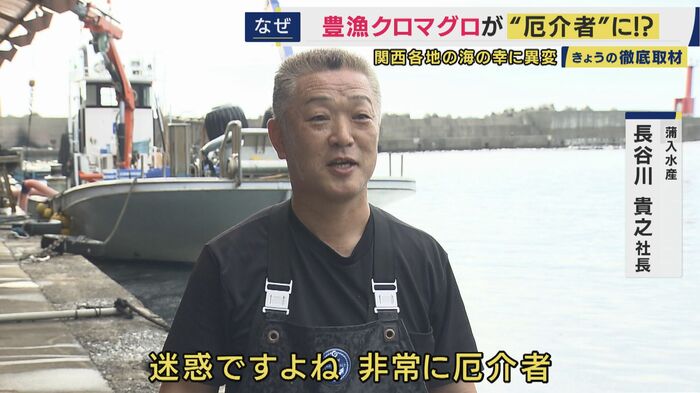 蒲入水産の長谷川貴之社長「迷惑ですよね。非常に厄介者」