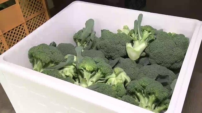 出荷時に欠かせない発泡スチロールの価格が上昇