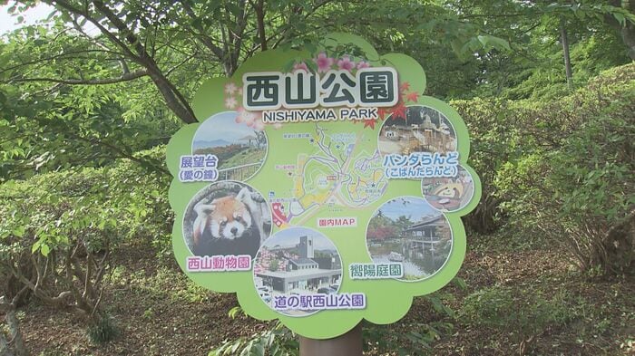 公園の案内看板にはミンファの写真が使われている