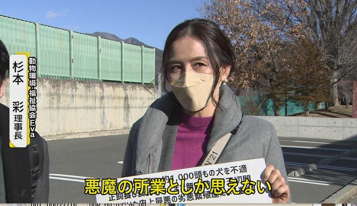 (2022年1月)