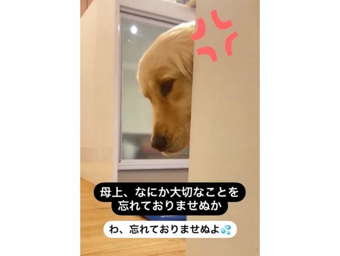 提供:エマさん