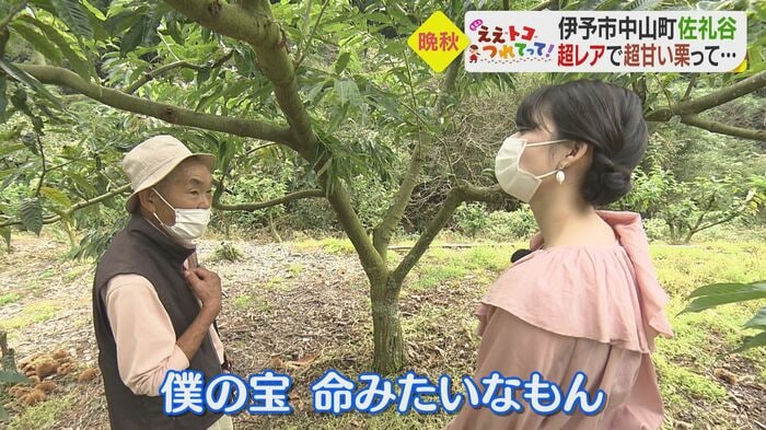 母樹は「宝」