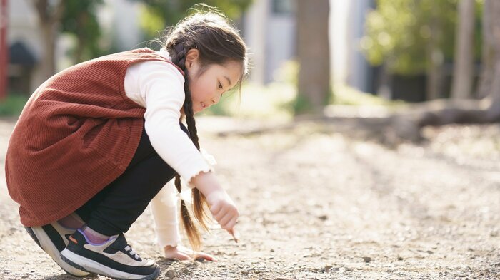 （画像はイメージ）