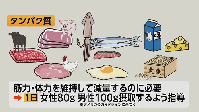タンパク質の摂取量