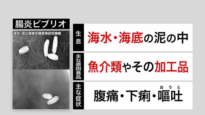 腸炎ビブリオ