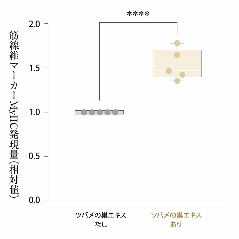 【特許取得】天然アナツバメの巣エキスが、筋肉の「修復と増強」を促す可能性