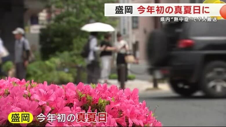 熱中症の疑いで岩手県内で7人が搬送　盛岡市では2025年初の真夏日｜FNNプライムオンライン