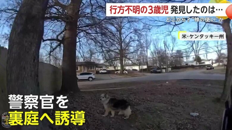 “神の使い”かも…行方不明の3歳男児を捜索中「ワンワンワン!」犬が警察官を誘導し見事発見　けがなく無事　アメリカ｜FNNプライムオンライン