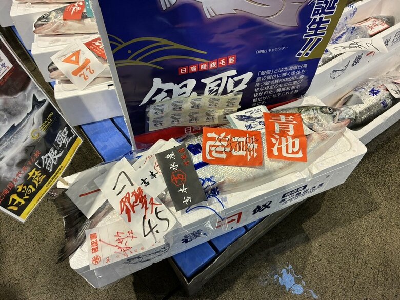 【秋の味覚に史上最高値】秋サケ初競り1キロあたり18万8888円―市場関係者は“脂の乗りがいい”早速札幌市内の鮮魚店へ…北海道札幌市中央卸売市場｜FNNプライムオンライン