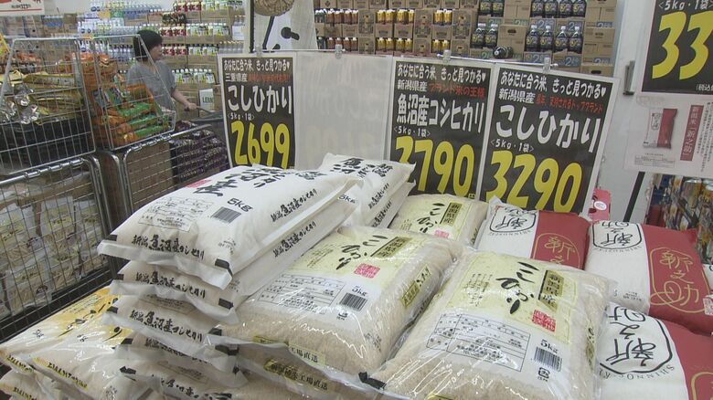 値下がりが加速か…“コメ余り”の中で新米の出荷スタート 物価高に苦しむ農家は戸惑いも「継続していけない」｜FNNプライムオンライン