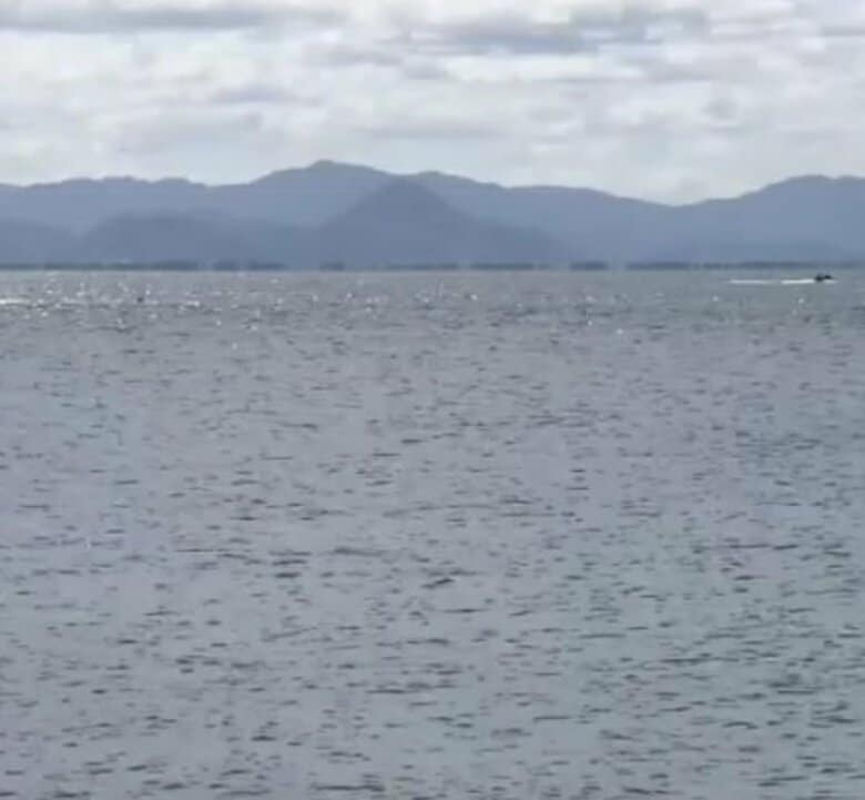 ウインドサーフィン中の大学生8人が漂流　「強風にあおられている」と湖上から110番通報　クラブ活動中の男女8人がトラブル　約1時間後に全員救助も1人ケガ　滋賀・琵琶湖｜FNNプライムオンライン