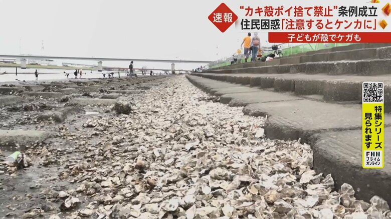 カキの殻で埋め尽くされた川岸