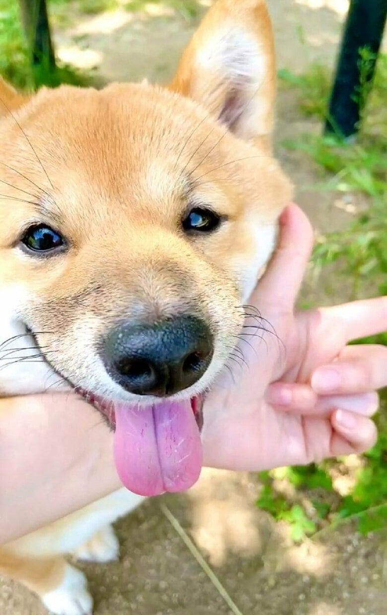 アゴのせ　そっちじゃない…