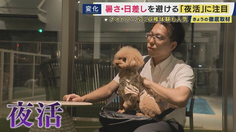  犬も夕方の夜活へ