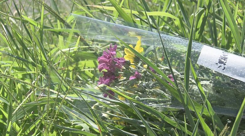 花を手向ける人の姿が（8月25日）
