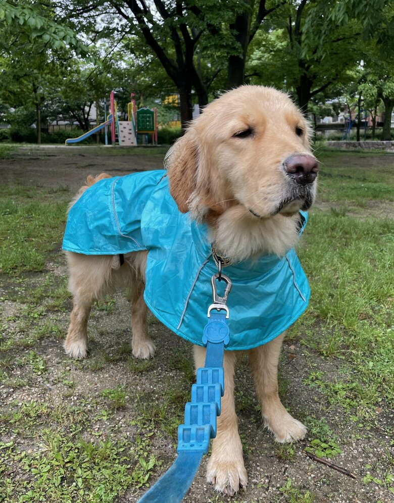 友だちがいなくて不満げな様子