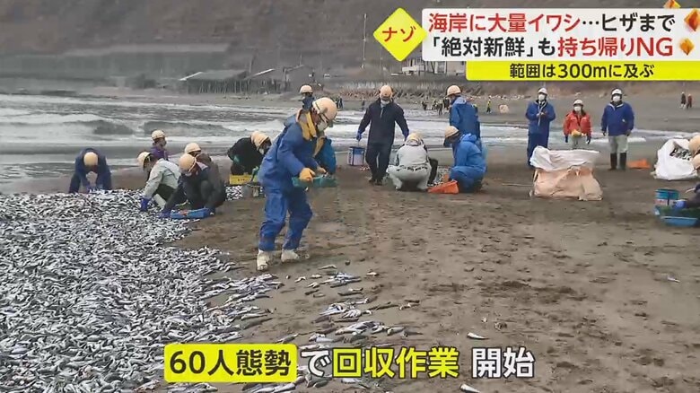 （2月8日）