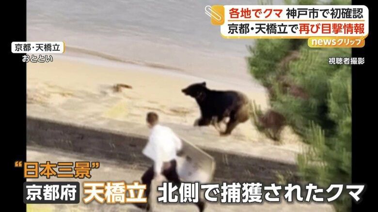 走って逃げるクマと追いかける警察官