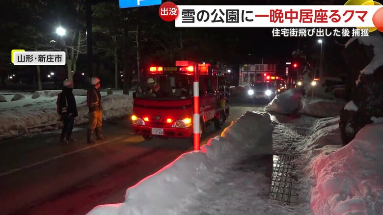 捕獲のために配置された消防の車両