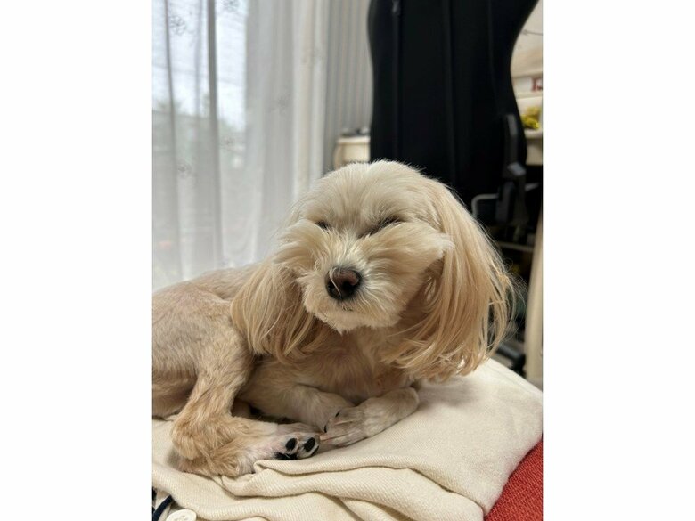 ふと見たらすごい寝癖