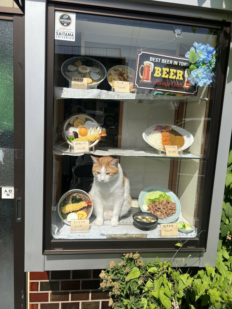 “お仕事”中のペタ郎くん