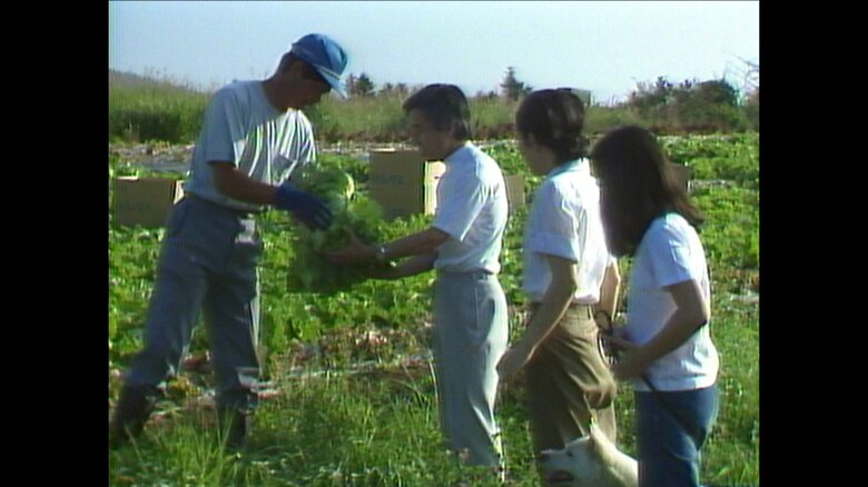 1984年　レタス畑で開拓者と交流される上皇ご夫妻
