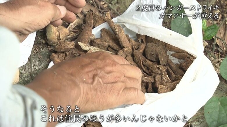 袋からのぞくのは多くの遺骨