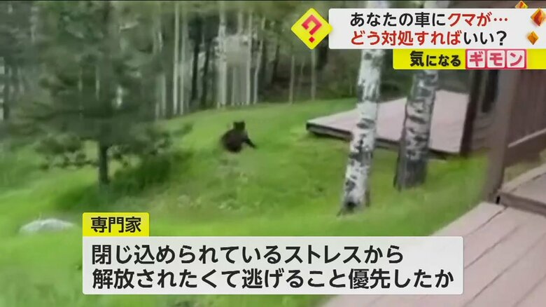 （Colorado Parks and Wildlife/TMX）