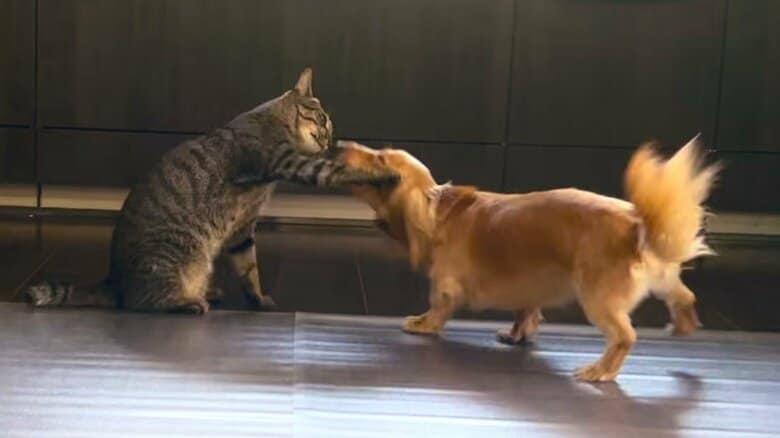 叱られるボンくん