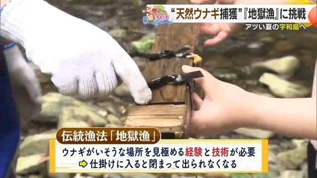 ウナギのいそうな場所を見極める