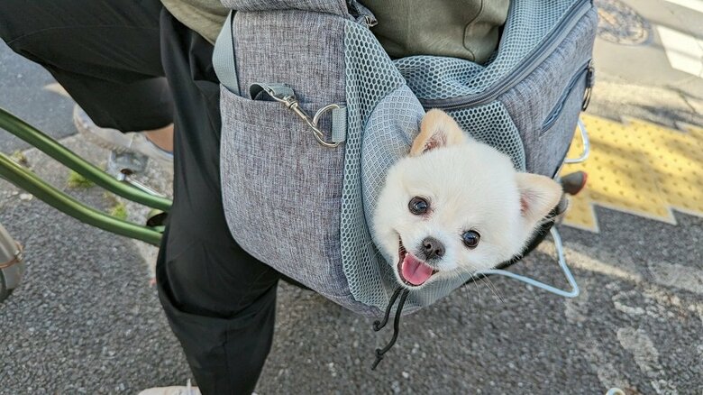 お出かけも好き