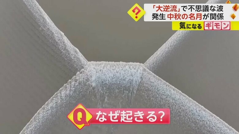 変則的な形をした波も見られた