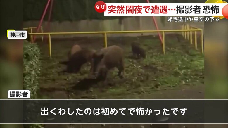 「出くわしたのは初めてで怖かったです」と話している撮影者