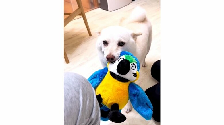 息子さんを歓迎していたという