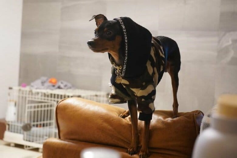 何を見ている？