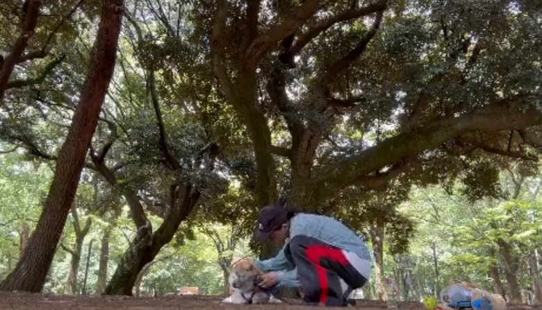 ゴロゴロしたあとはしっかり洗って…