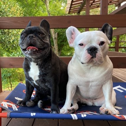 提供：天使の笑顔さん