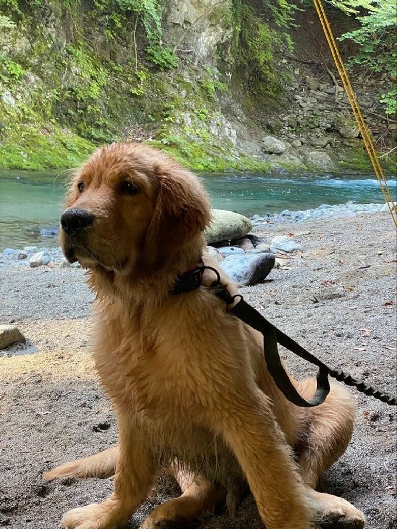 初キャンプの様子