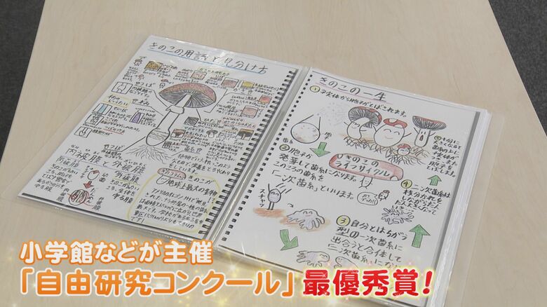 ニュースONE