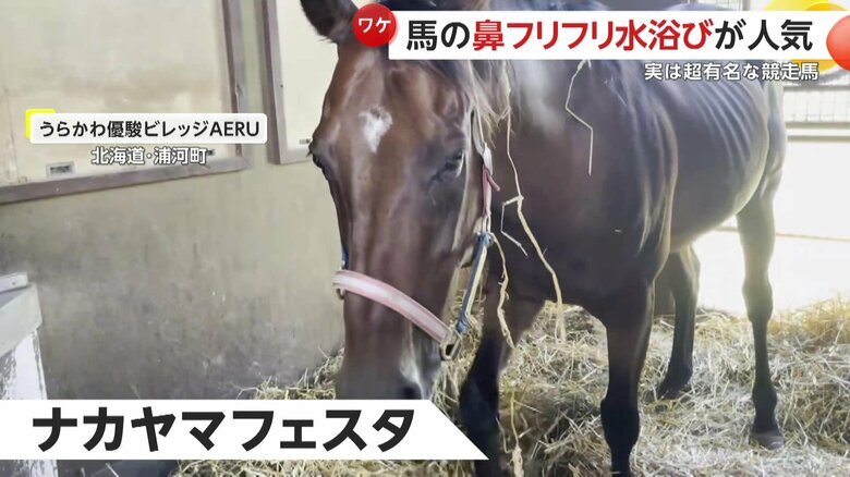 名馬中の名馬「ナカヤマフェスタ」