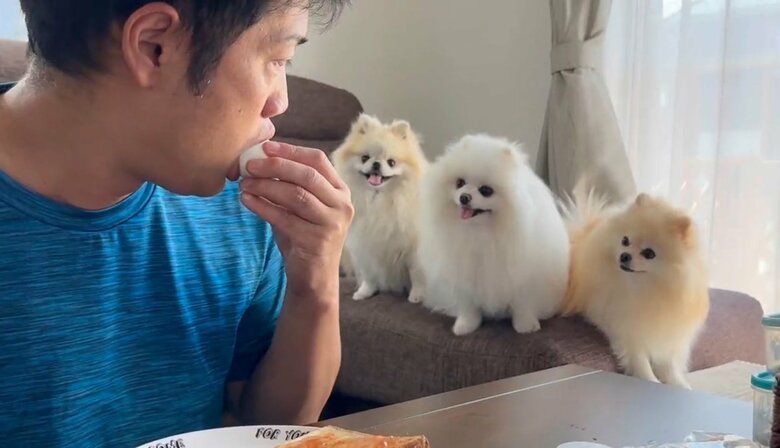 ゆでたまごにも熱い眼差し