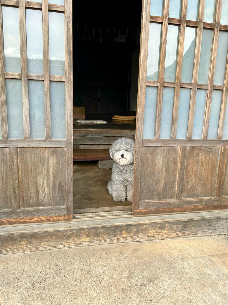 提供：レノン&れあるさん