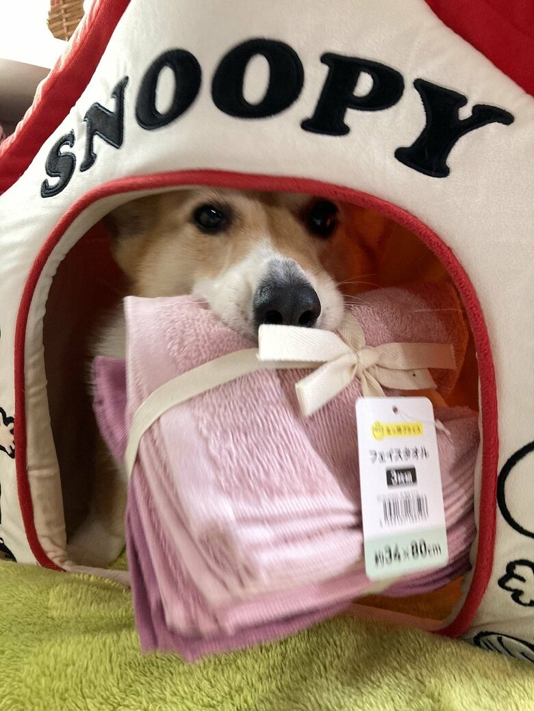 小屋の中からもお土産を自慢