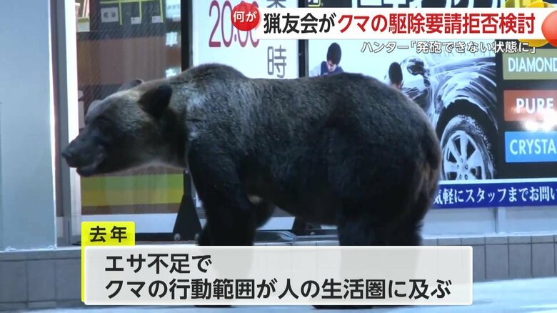 2023年はエサ不足でクマの行動範囲が人の生活圏に及んでいた