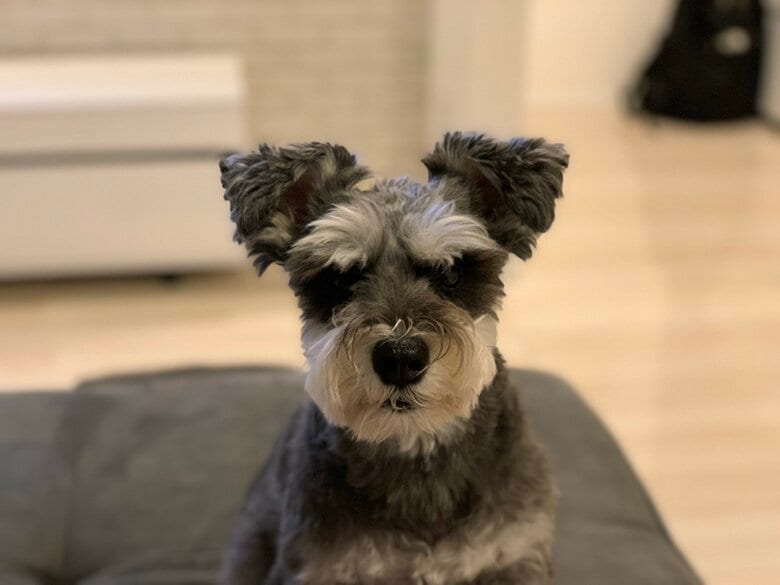 提供：くぅさん